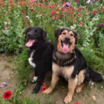 Emma & Leo