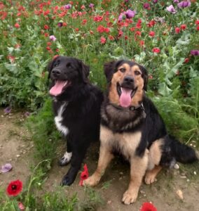 EMMA & LEO